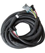 3016944 Main Wiring Loom