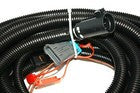 SaltDogg 3008620 TGS main wiring harness